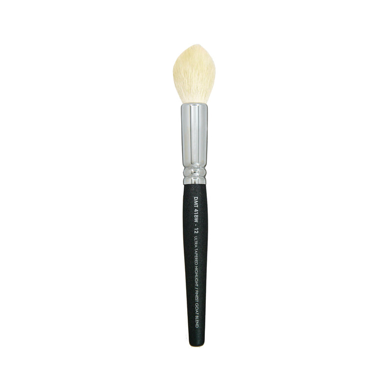 Makeup Brushes