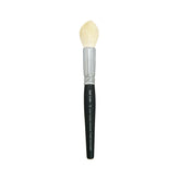 Makeup Brushes
