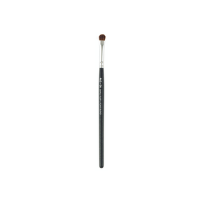 Eye Brushes
