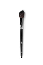 Makeup Brushes